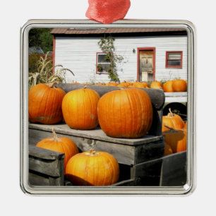 VS, Vermont. Pompoenen Metalen Ornament