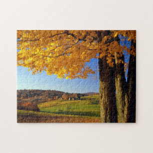 VS, Vermont. Schilderachtige boerderij bij South W Legpuzzel