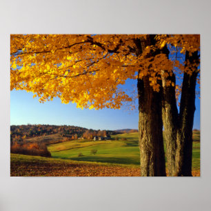 VS, Vermont. Schitterend landschap nabij South Woo Poster