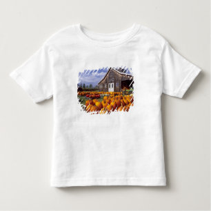 VS, Vermont, Shelbourne, Pumpkins Kinder Shirts