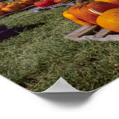 VS, Vermont, Shelbourne, Pumpkins Poster (Hoek)