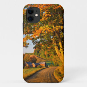 VS, Vermont, South Woodstock iPhone 11 Hoesje