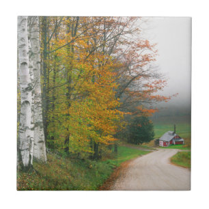 VS, Vermont. Suikerhuis Nabij De Stad South Tegeltje