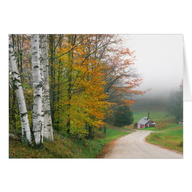 VS, Vermont. Suikerhuis nabij de stad Zuid (Voorkant Horizontaal)