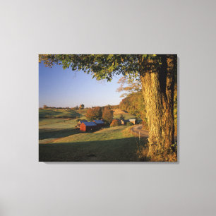 VS, Vermont, zuid Woodstock, Jenne Farm bij Canvas Afdruk