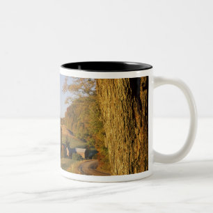 VS, Vermont, zuid Woodstock, Jenne Farm bij Tweekleurige Koffiemok