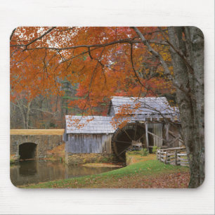 VS, Virginia, Blue Ridge Parkway, Herfst Muismat