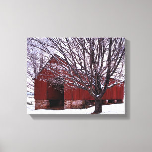 VS, Virginia, Fairfax County, Schuur en esdoorn Canvas Afdruk