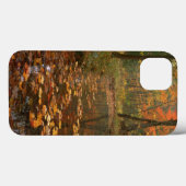 VS, Virginia, herfst in Douthat State Park Case-Mate iPhone Case (Achterkant (horizontaal))