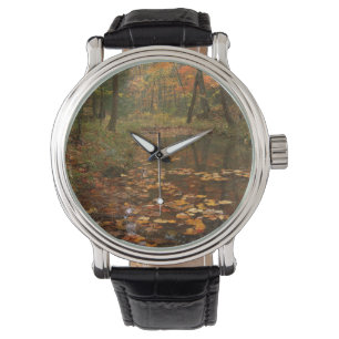 VS, Virginia, Herfst in Douthat State Park Horloge