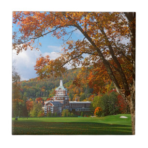 VS, Virginia, Hot Springs, The Homestead Tegeltje