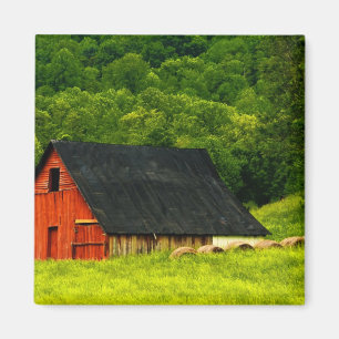 VS, Virginia, Shenandoah National Park, 2 Magneet