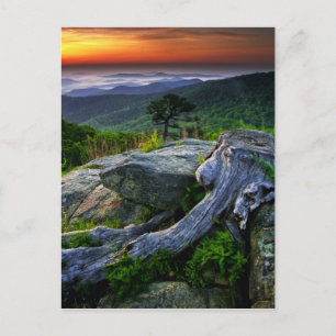 VS, Virginia, Shenandoah National Park. Briefkaart