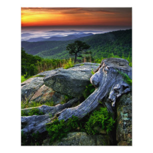 VS, Virginia, Shenandoah National Park. Foto Afdruk