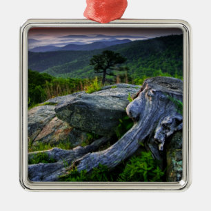 VS, Virginia, Shenandoah National Park. Metalen Ornament