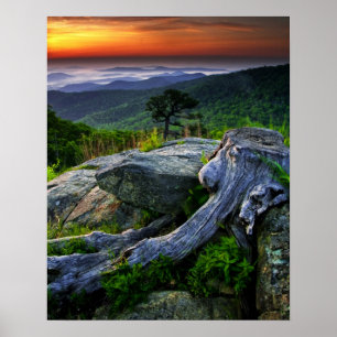 VS, Virginia, Shenandoah National Park. Poster