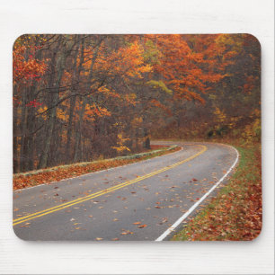 VS, Virginia, Shenandoah National Park, Skyline Muismat