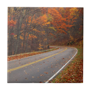 VS, Virginia, Shenandoah National Park, Skyline Tegeltje