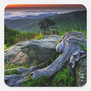 VS, Virginia, Shenandoah National Park. Vierkante Sticker