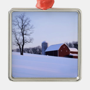 VS, Virginia, Shenandoahvallei, Schuur Metalen Ornament