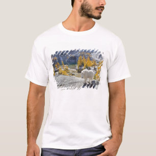 VS, WA, Alpine Lakes Wildernis Verleidingen. T-shirt