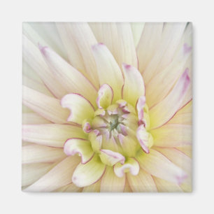 VS, Washington, Bellevue, Bellevue Botanical 2 Magneet