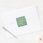 VS, Washington, Bellevue, Bellevue Botanical 4 Vierkante Sticker (Envelop)