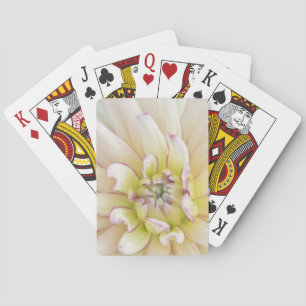 VS, Washington, Bellevue, Bellevue Botanische tuin Pokerkaarten