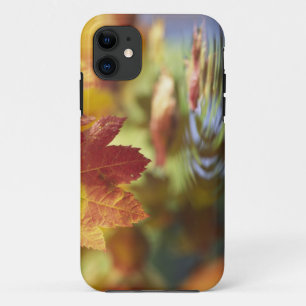 VS, Washington, Bellingham, Close-up van herfst iPhone 11 Hoesje