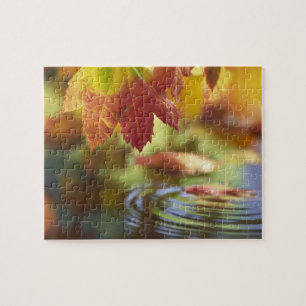 VS, Washington, Bellingham, Close-up van herfst Legpuzzel