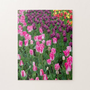 VS, Washington. Bloeiende tulpen Legpuzzel