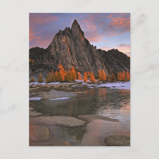 VS, Washington, Cascade Mountains.  Piekpiek Briefkaart (Voorkant)