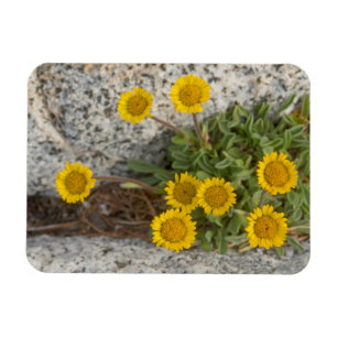 VS, Washington, Cascade Range 5 Magneet