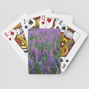 VS, Washington, Clallam County, Lupine Pokerkaarten
