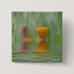 VS, Washington, Close-up abstract van California Vierkante Button 5,1 Cm