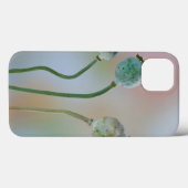 VS, Washington. Close-up van kleurrijke klaproosza Case-Mate iPhone Case (Achterkant (horizontaal))