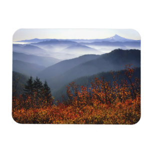 VS, Washington, Columbia River Gorge National Magneet