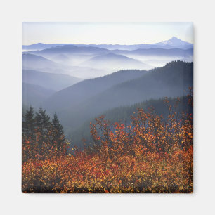 VS, Washington, Columbia River Gorge National Magneet