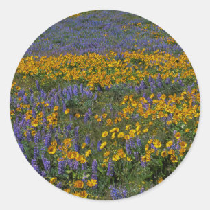VS, Washington, Columbia River Gorge National Ronde Sticker