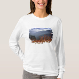 VS, Washington, Columbia River Gorge National T-shirt