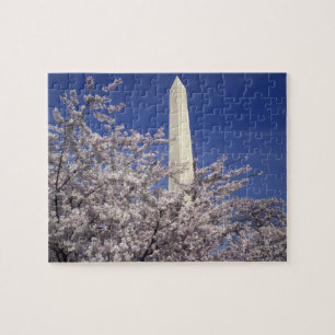 VS, Washington DC. Cherry Blossom Festival en Legpuzzel