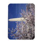 VS, Washington DC. Cherry Blossom Festival en Magneet (Verticaal)