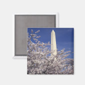 VS, Washington DC. Cherry Blossom Festival en Magneet (Voorkant / Achterkant)