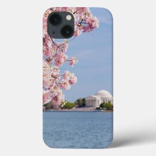 VS, Washington DC, Cherry tree iPhone 13 Hoesje