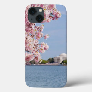 VS, Washington DC, Cherry tree iPhone 13 Hoesje