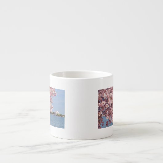 VS, Washington DC, Cherry tree Espresso Kop (Voorkant)