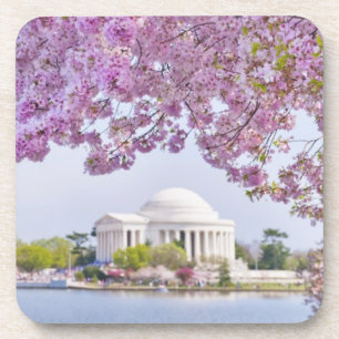 VS, Washington DC, Cherry tree in bloom Bier Onderzetter