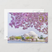 VS, Washington DC, Cherry tree in bloom Briefkaart (Voorkant / Achterkant)