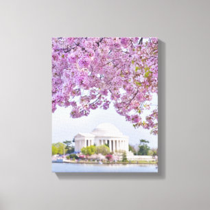 VS, Washington DC, Cherry tree in bloom Canvas Afdruk