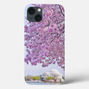 VS, Washington DC, Cherry tree in bloom iPhone 13 Hoesje